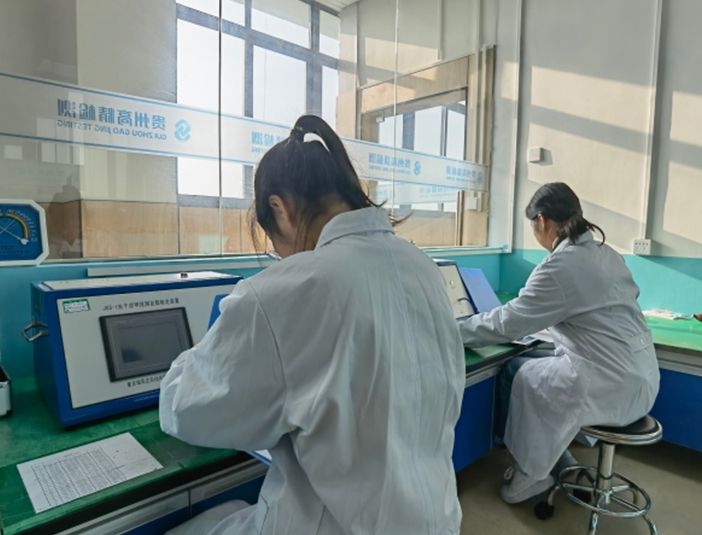 檢測案例展示